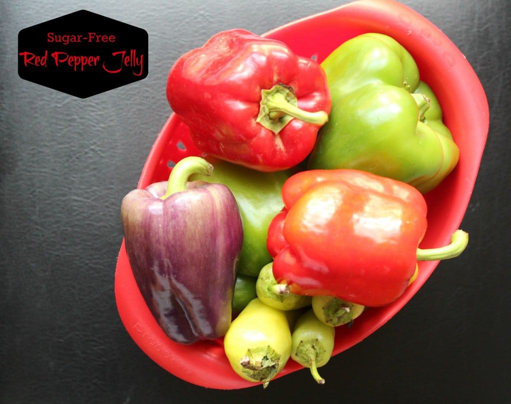 Sugar free red pepper jelly / www.campbrighton.com