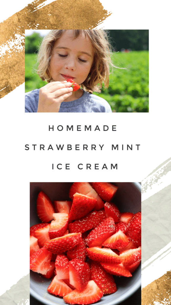 Strawberry Mint Ice Cream · Erin Brighton