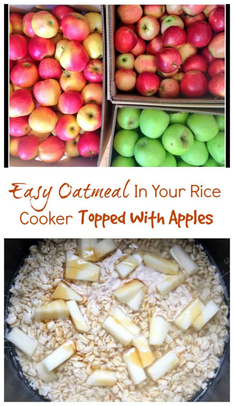 Easy Oatmeal in a Rice Cooker Erin Brighton