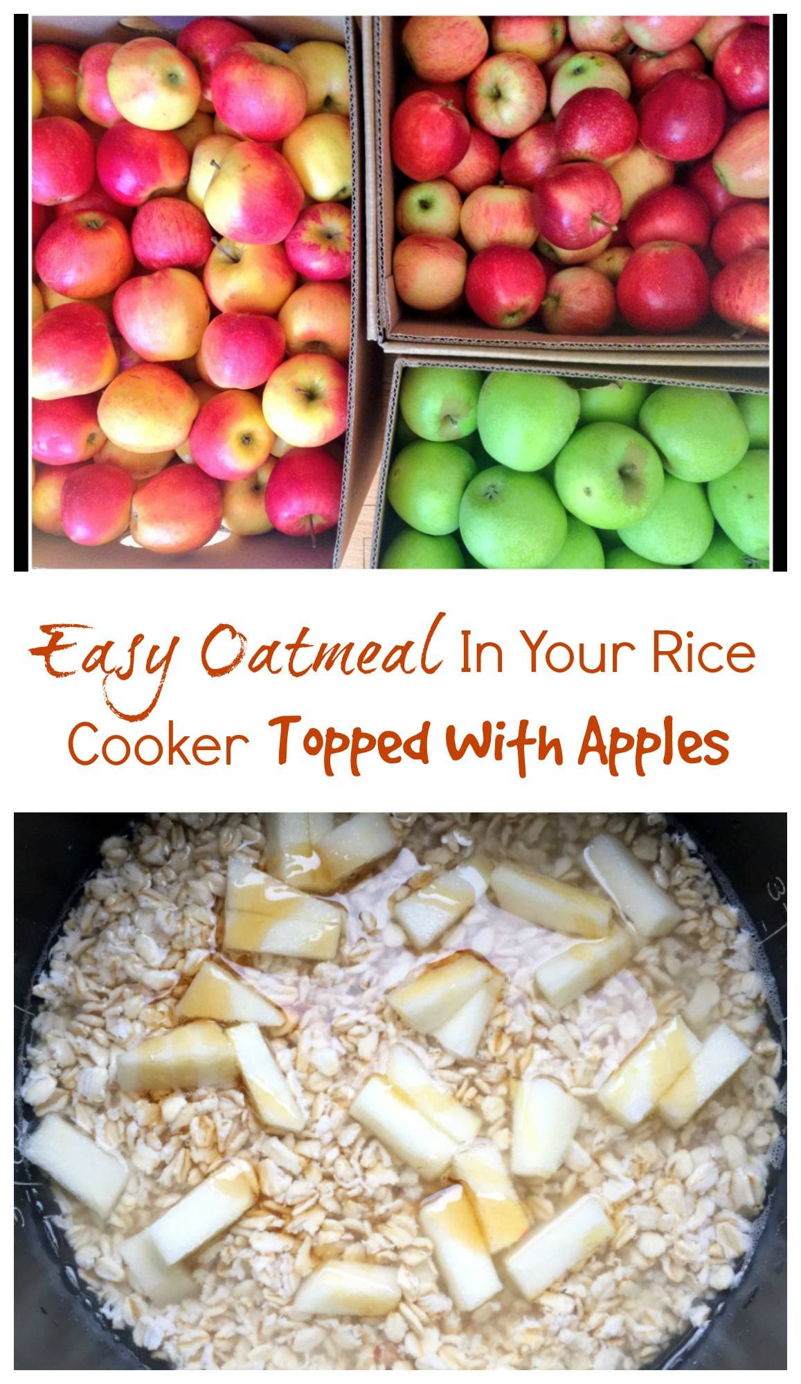 Easy Oatmeal in Your Rice Cooker