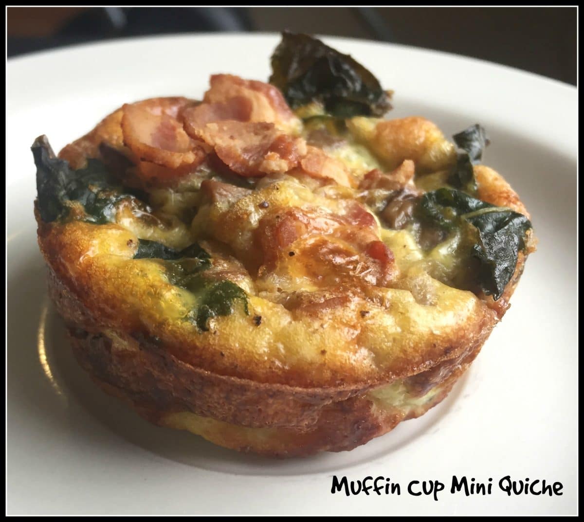 Muffin Cup Mini Quiche Erin Brighton