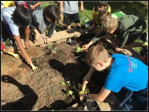 5th graders cook and garden