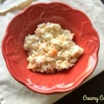 Creamy Cole Slaw (From A Food Processor!)
