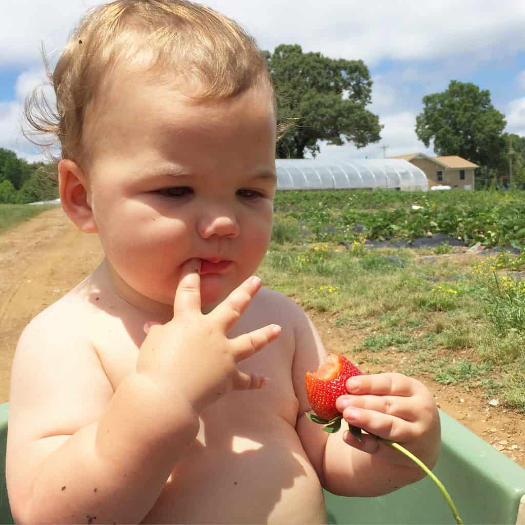 Baby K eating a strawberry