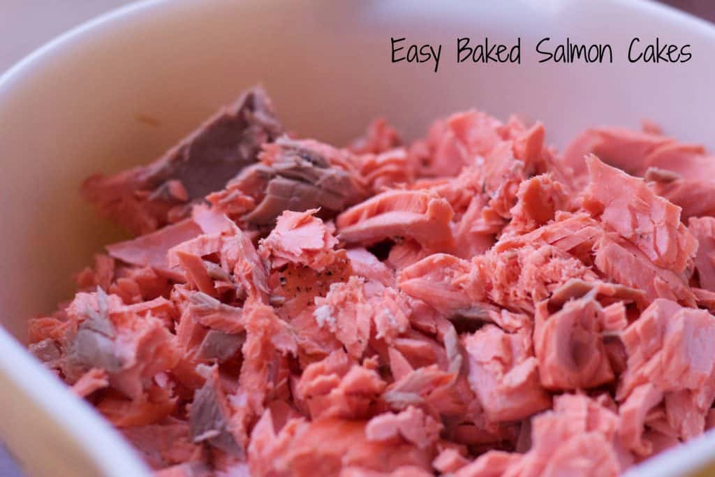 Easy Baked Salmon Cakes || Erin Brighton | gluten free | seafood recipes | dinner