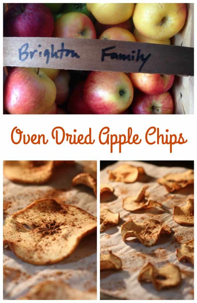 Oven Dried Apple Chips || Erin Brighton | vegan | gluten free | whole30 | snacks | got to be NC