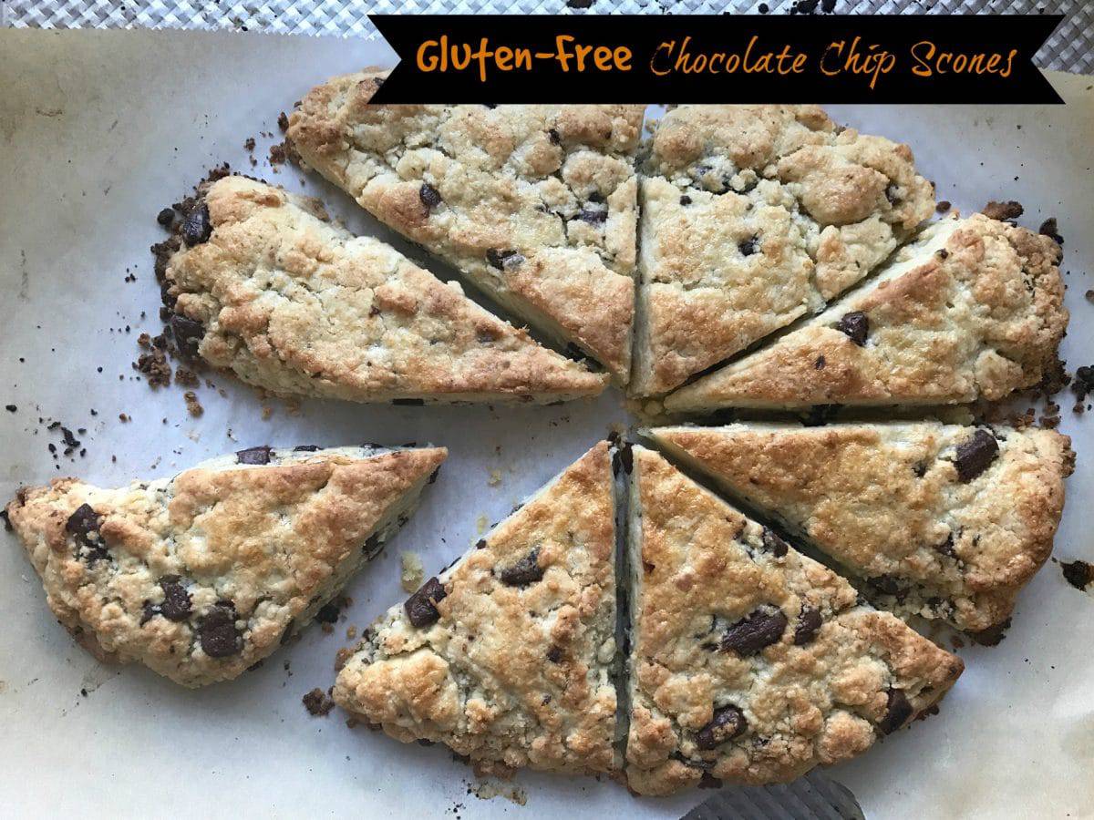 Gluten-free Chocolate Chip Scones || Erin Brighton | gluten free | baking | dessert | brunch | easy recipes