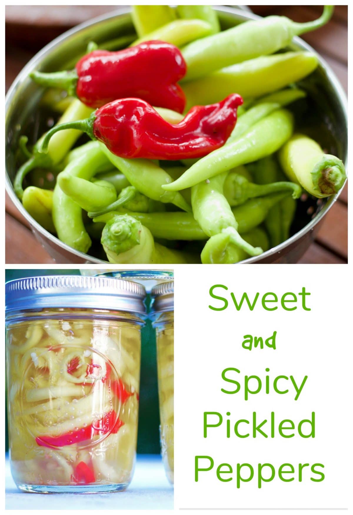 Sweet and Spicy Pickled Peppers || Erin Brighton | pickling | veggies | Got To Be NC | pickled peppers | gluten free | vegan | easy preserving