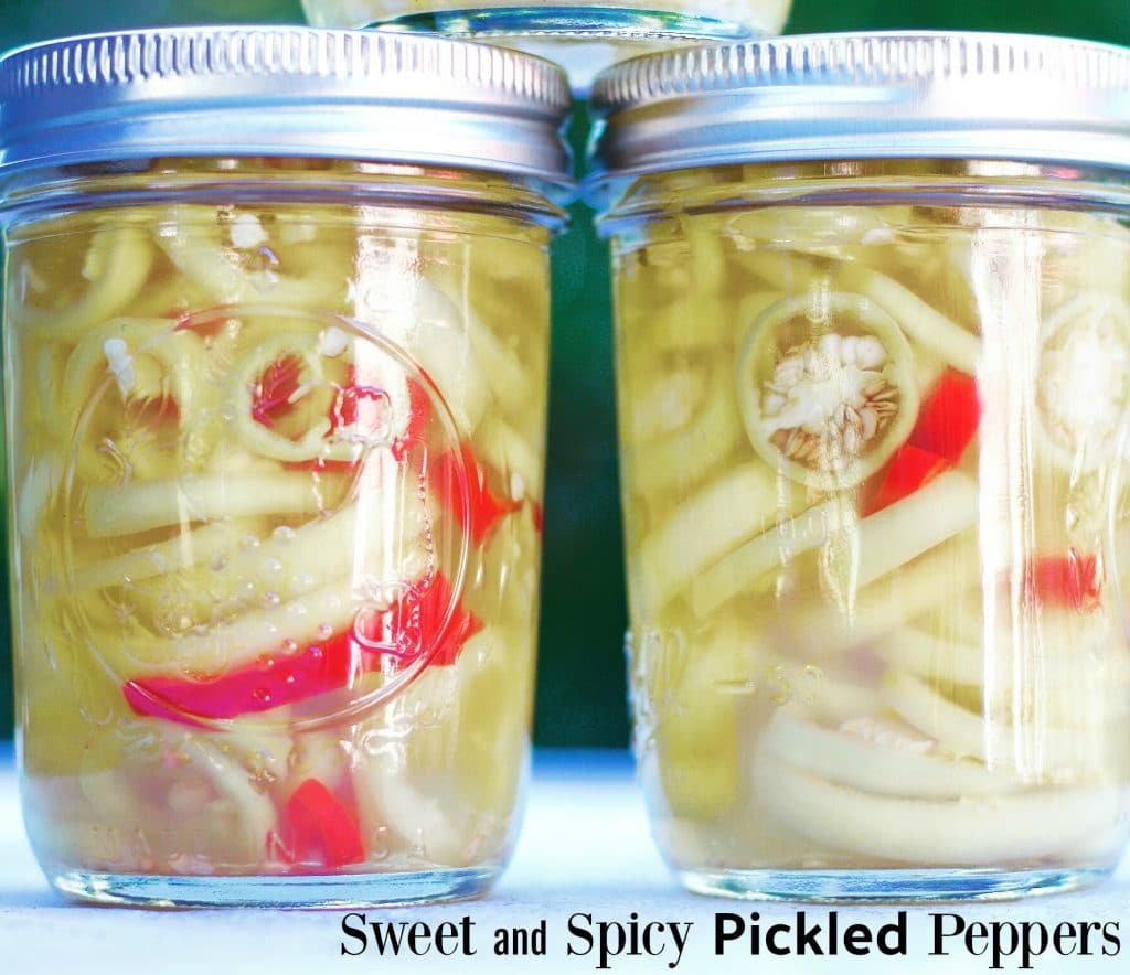 Sweet and Spicy Pickled Peppers || Erin Brighton | Cooking With Erin | gluten free | canning | grow your own | easy recipes