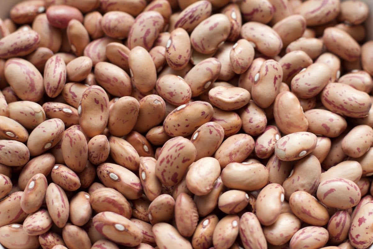 Which Dried Beans Have The Most Iron