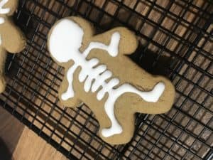 Royal Icing on A Gingerbread Cookie
