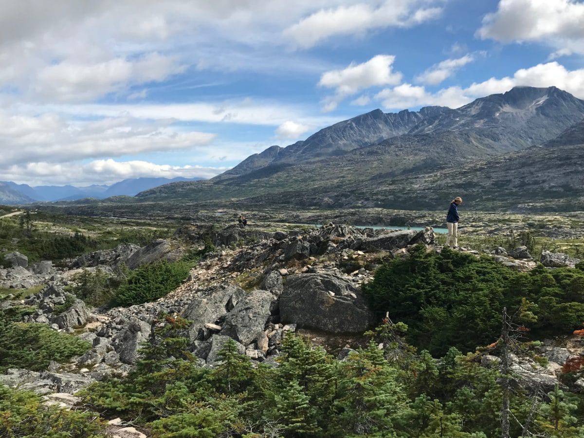 Yukon views