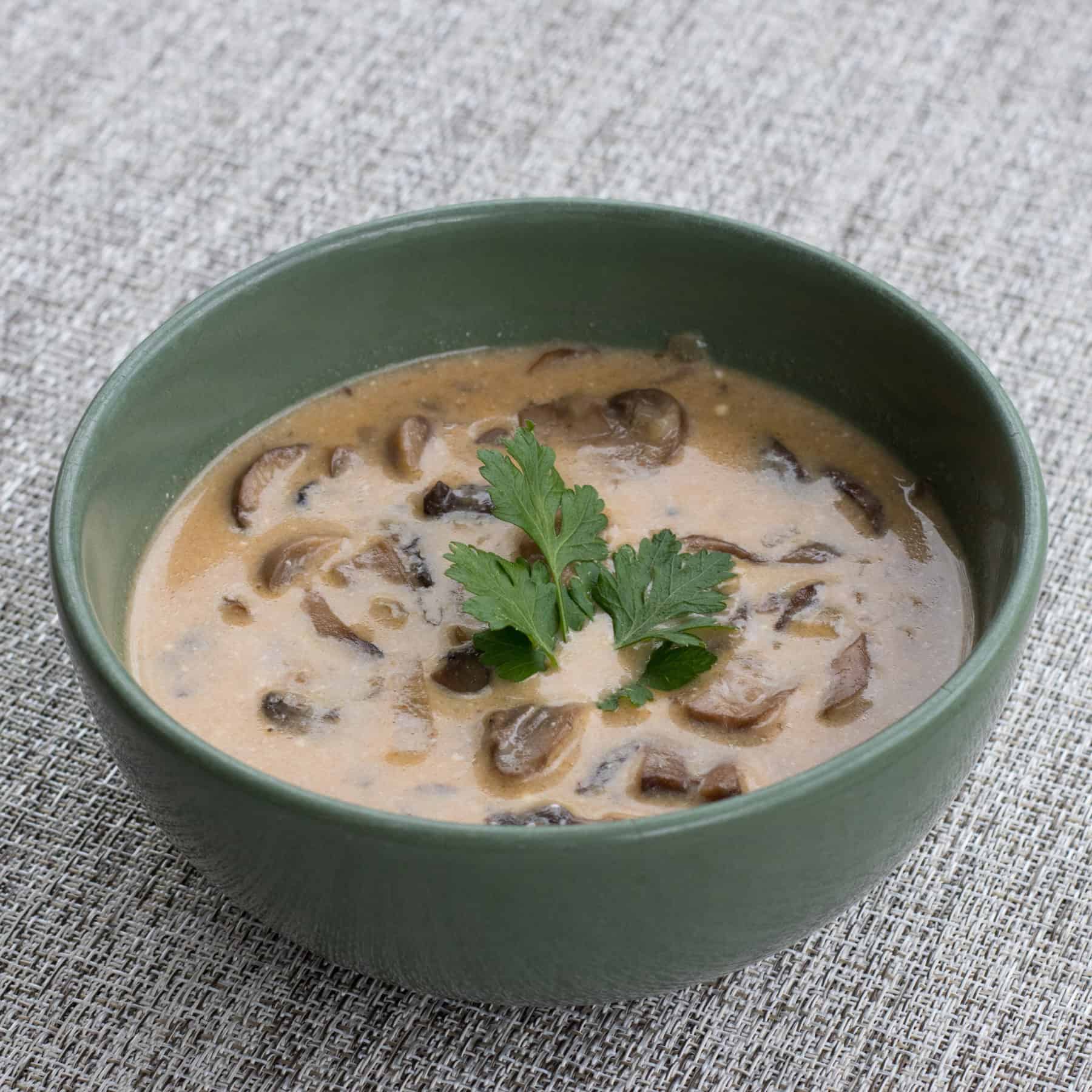 bowl of hungarian mushroom soup