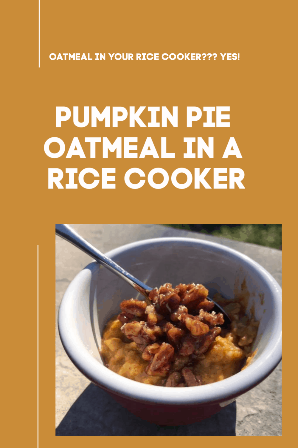 pumpkin pie oatmeal