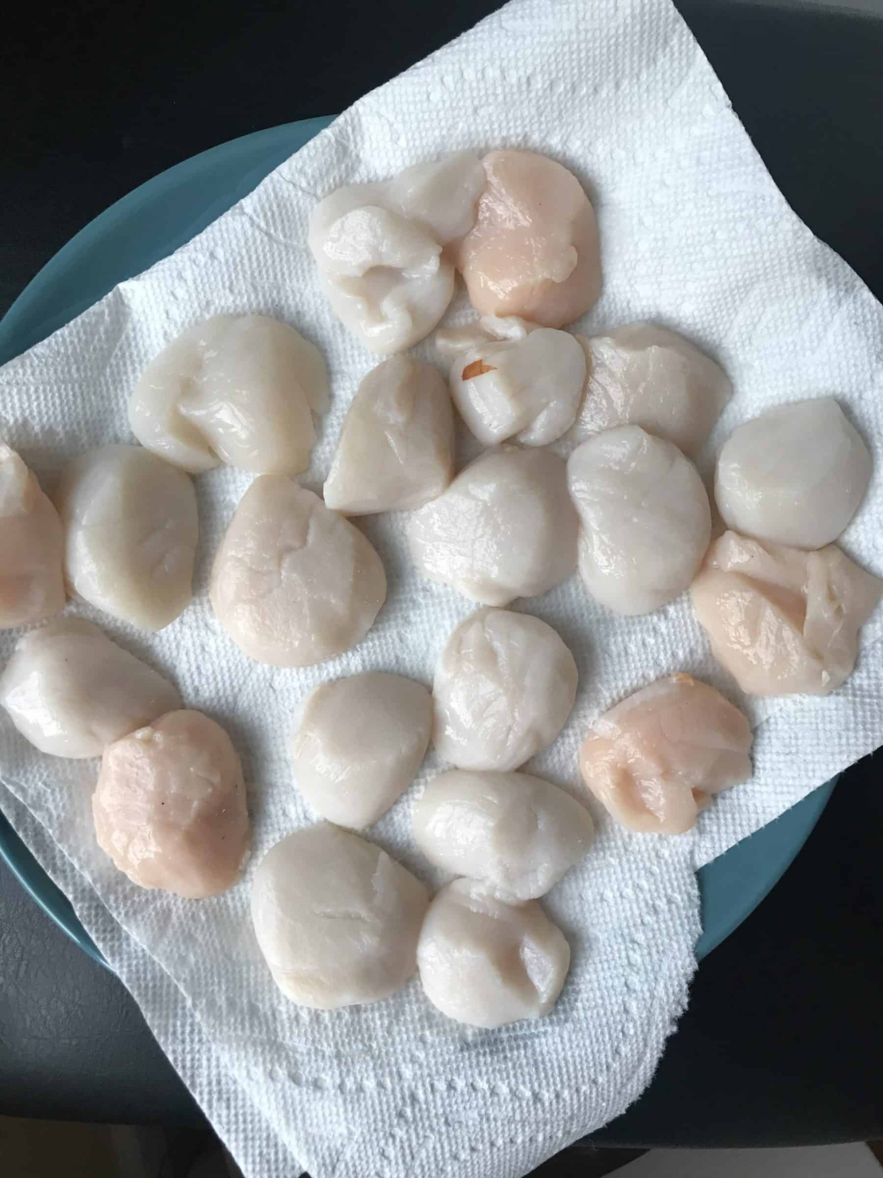 scallops ready to be cooked